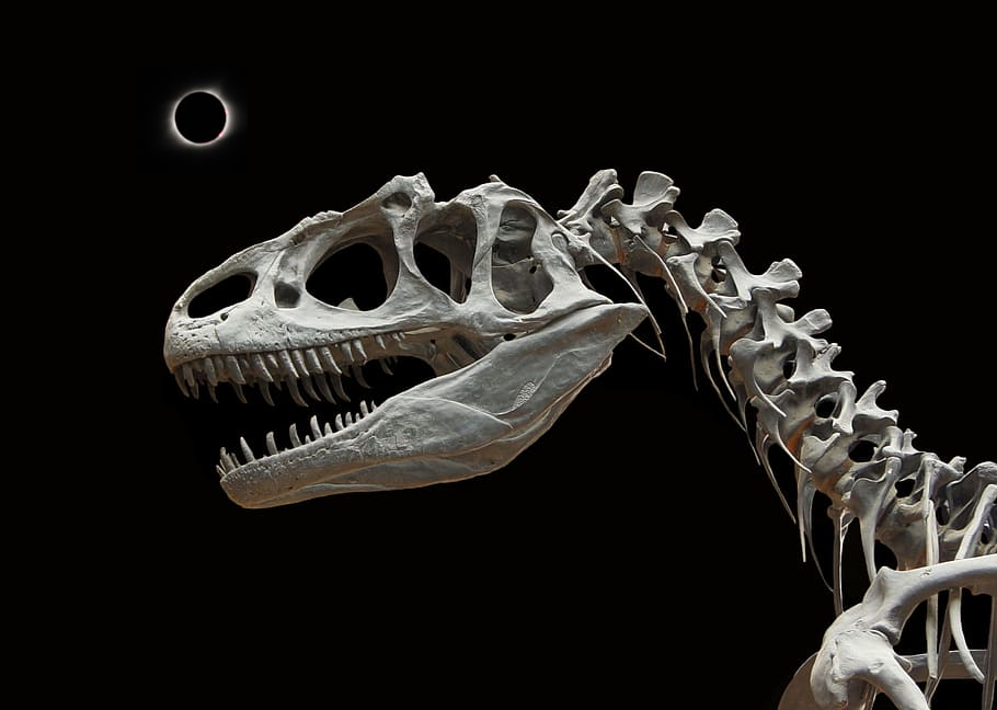 dinosaur skeleton under a solar eclipse